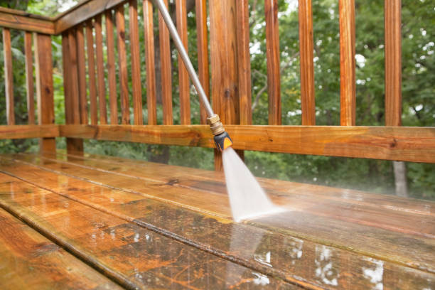 Best Roof Pressure Washing  in Auburn, IN